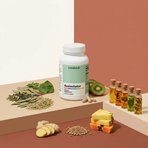 Suplimentul Assimilator cu ingrediente naturale: ghimbir, kiwi și plante.